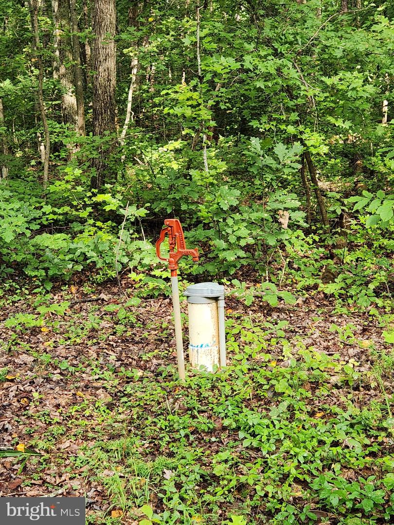 1443 Zachary Taylor Hwy Property Photo 11
