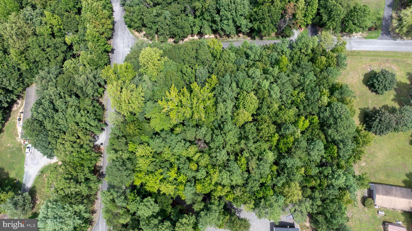 Lot 7 Hickory Ln Property Photo 3