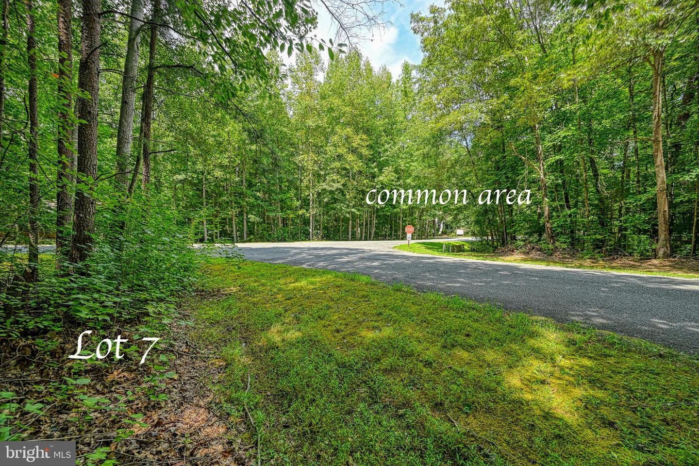 Lot 7 Hickory Ln Property Photo 4