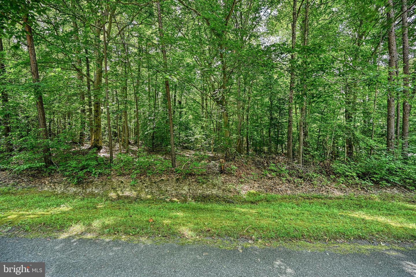 Lot 7 Hickory Ln Property Photo 8