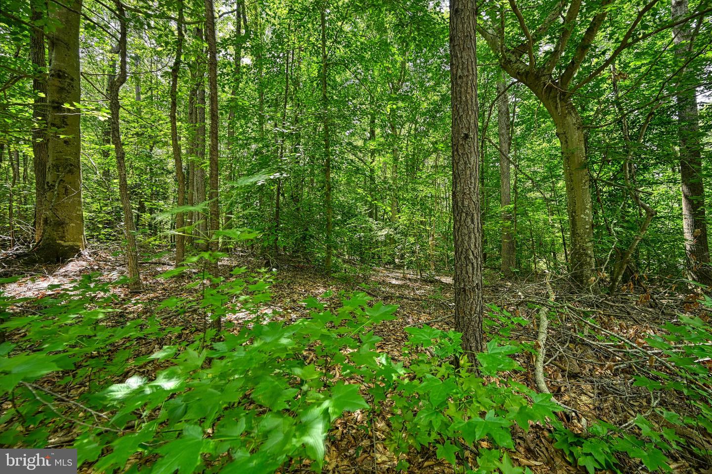 Lot 7 Hickory Ln Property Photo 18