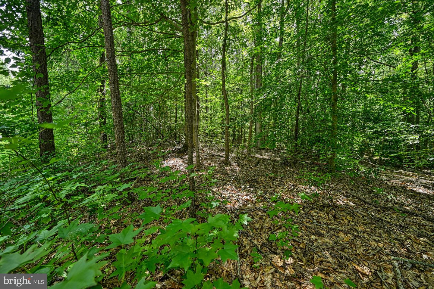 Lot 7 Hickory Ln Property Photo 19