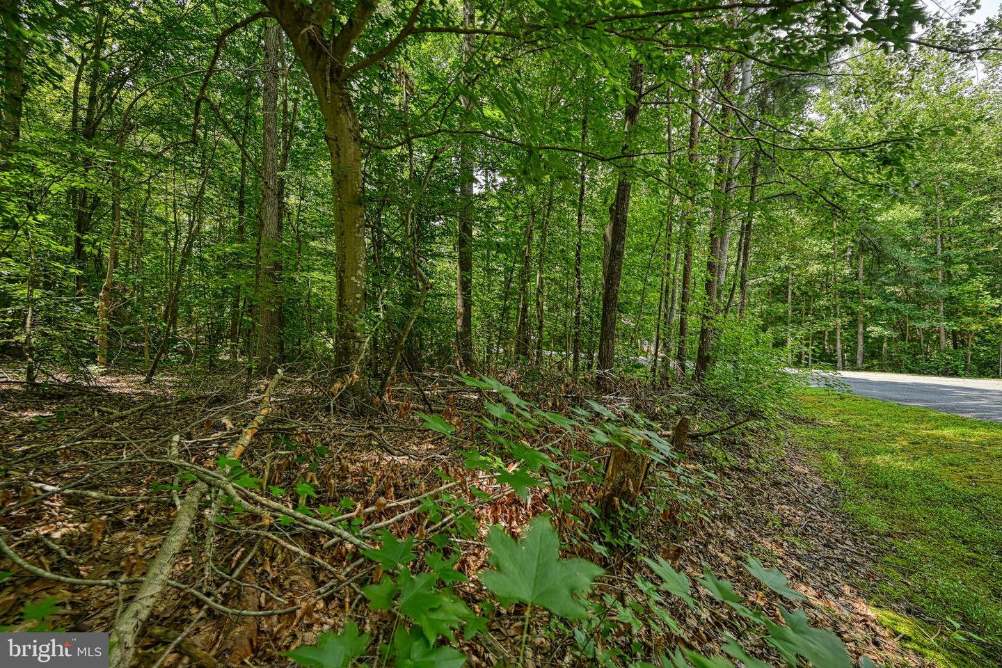 Lot 7 Hickory Ln Property Photo 20