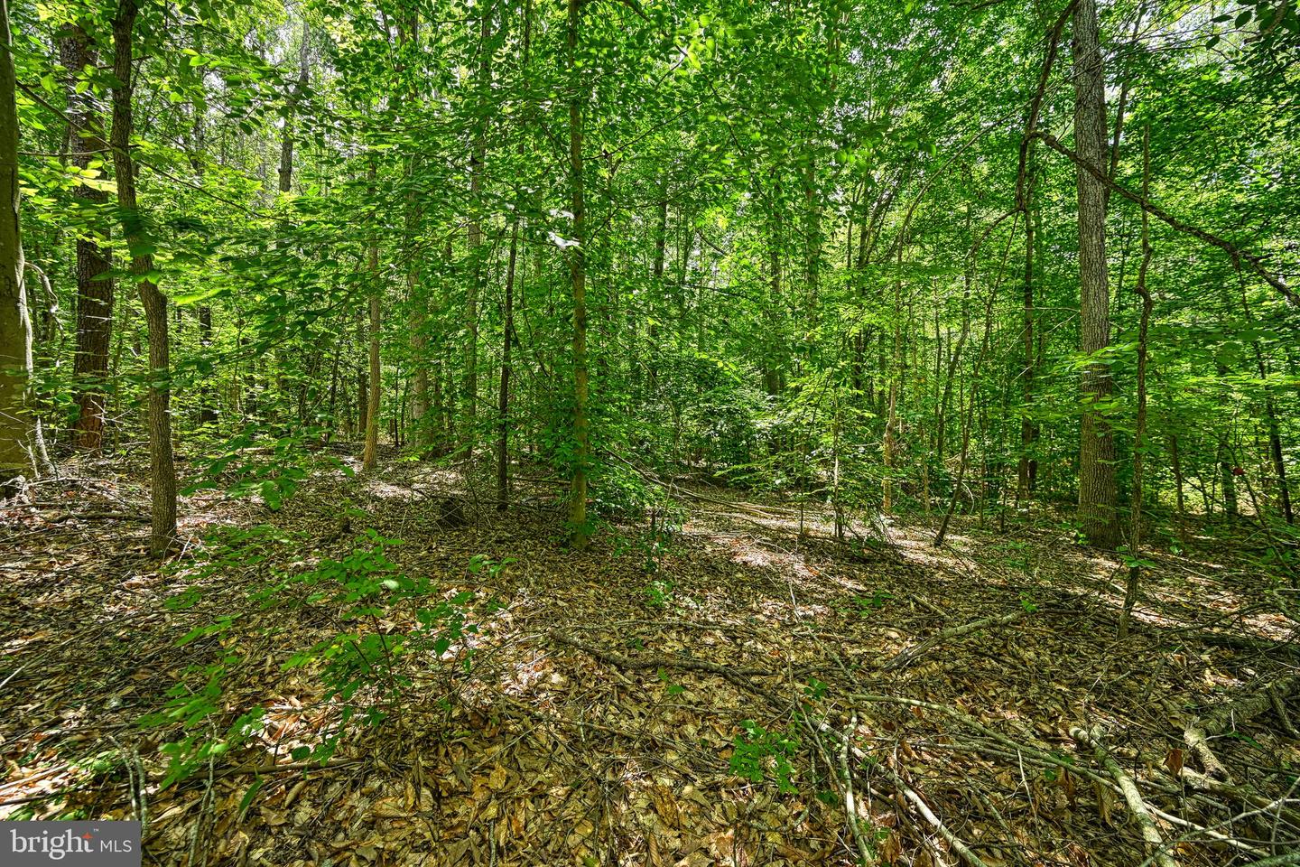 Lot 7 Hickory Ln Property Photo 21
