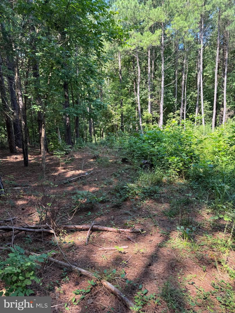 Lot 53 Days Bridge Rd. Property Photo 2