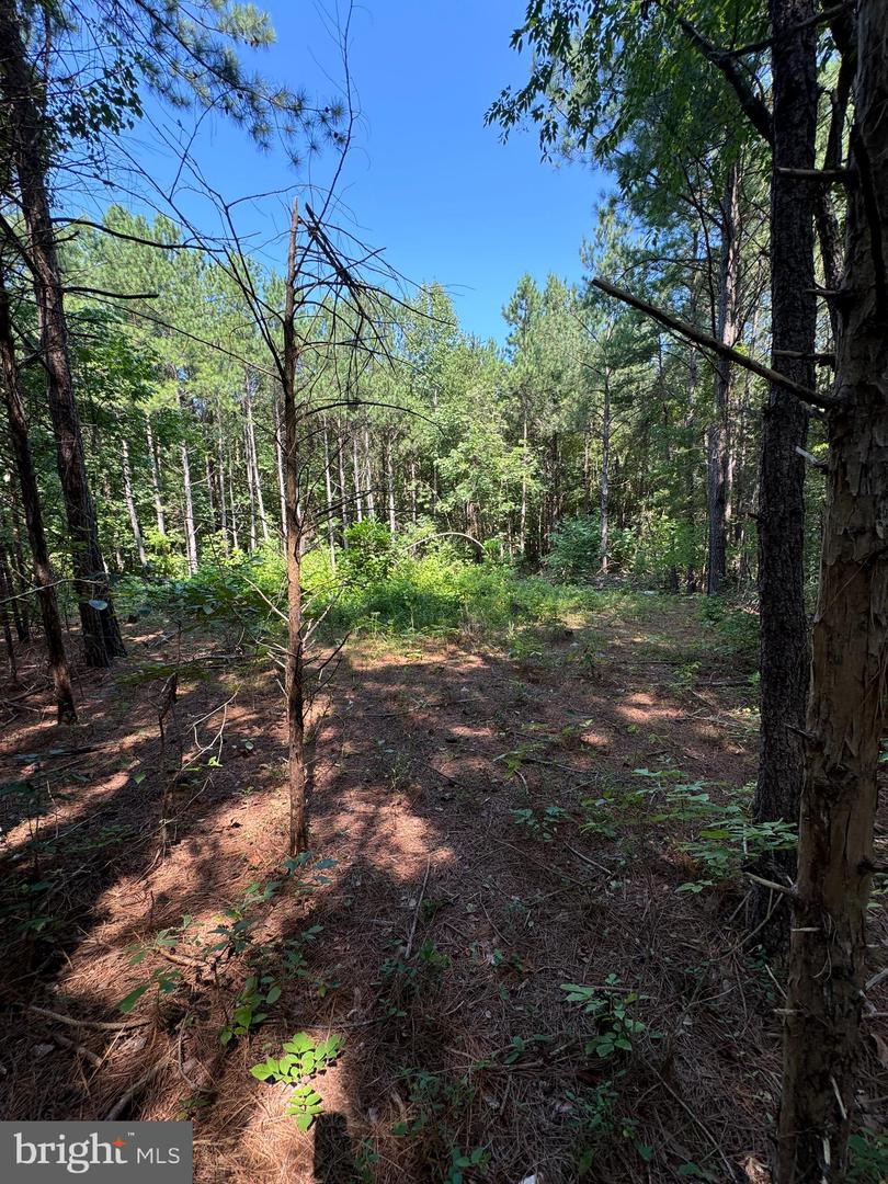Lot 53 Days Bridge Rd. Property Photo 3