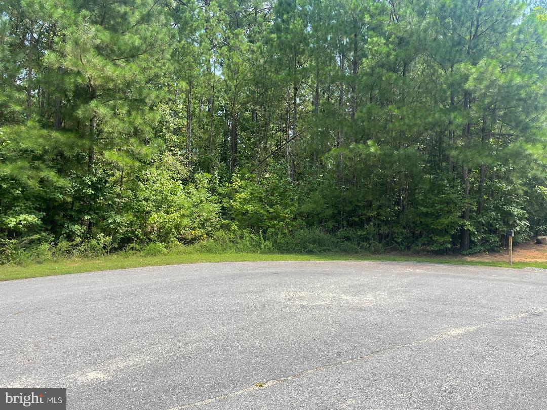 Lot 295 Cincinnati Pl Property Photo 2