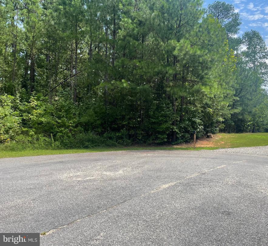 Lot 295 Cincinnati Pl Property Photo 3