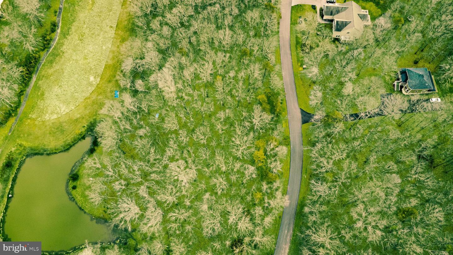 Lot 286 Shenandoah Crossing Dr Property Photo 7