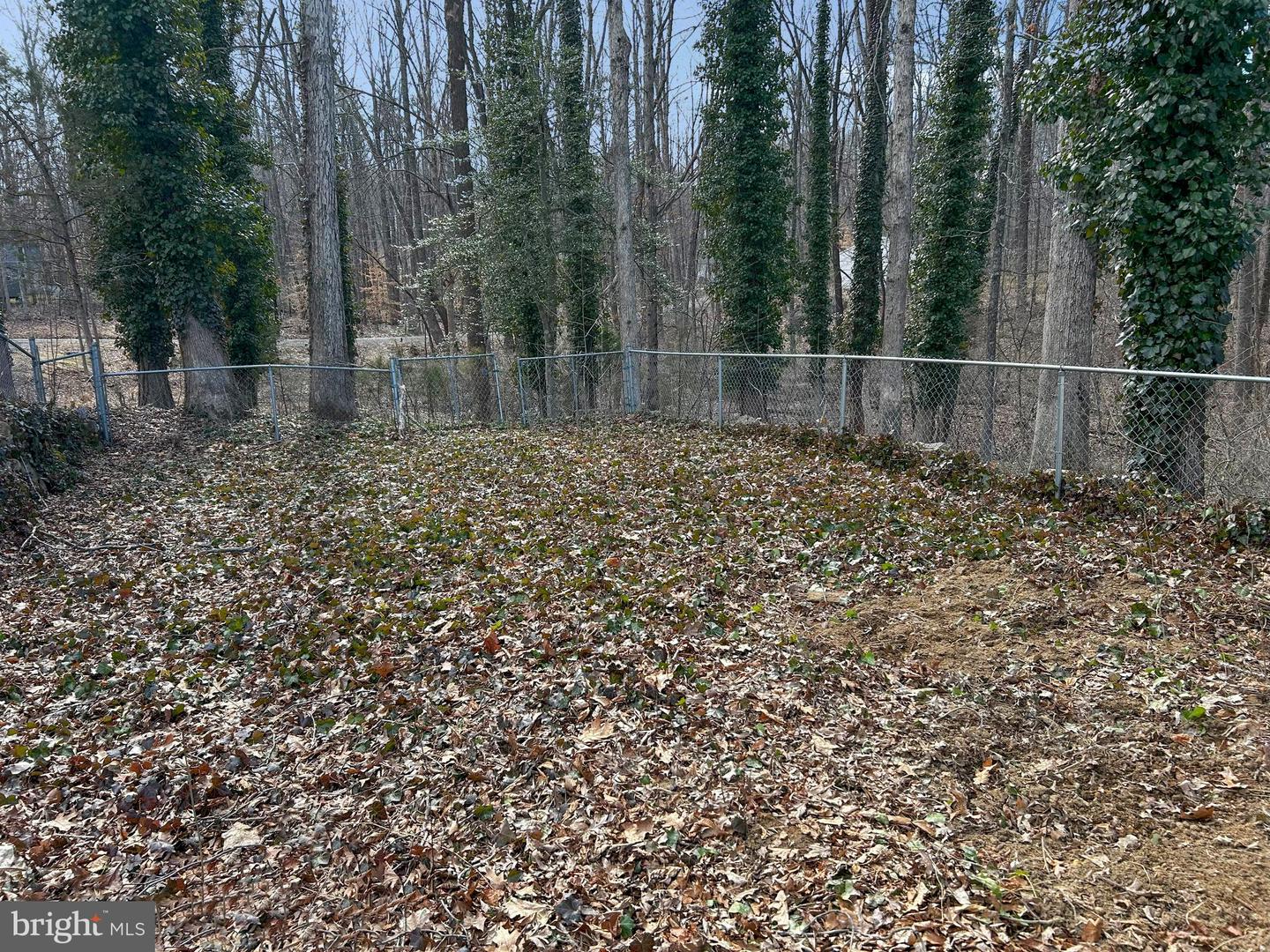1843 S Lakeshore Dr Property Photo 17