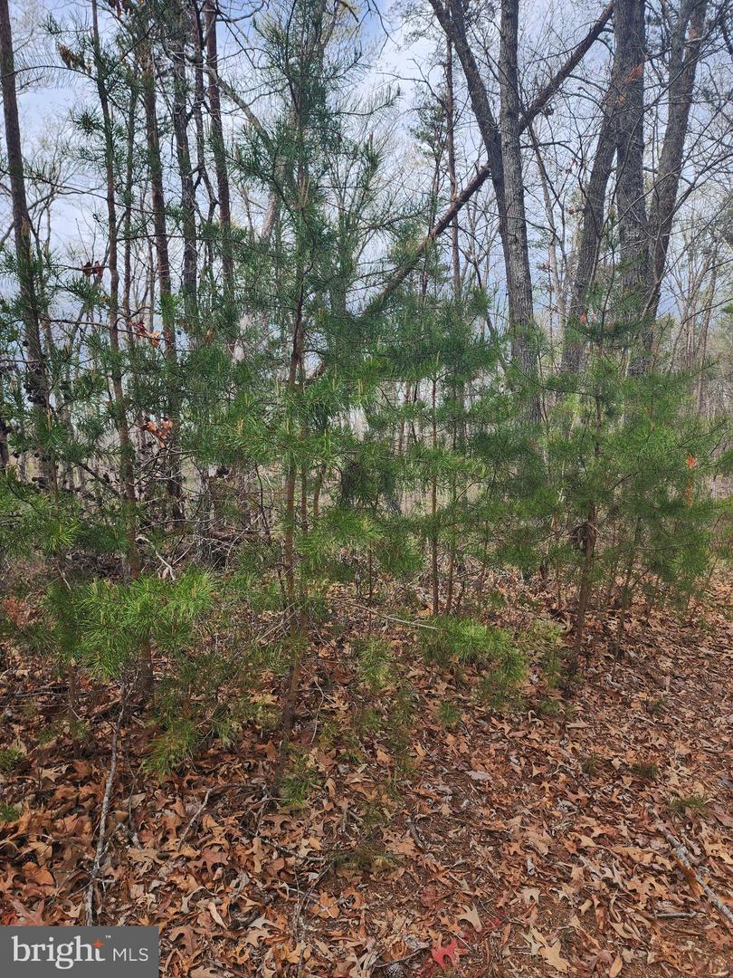 Lot 9 Paradise Ln Property Photo 2