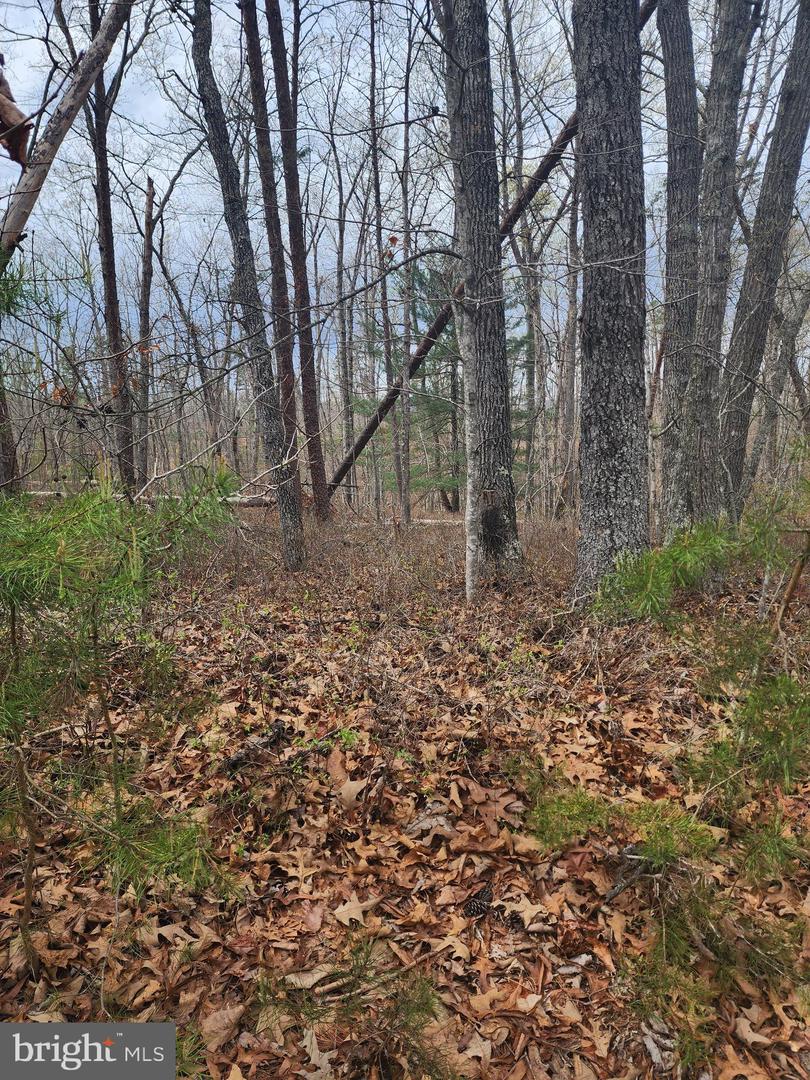 Lot 9 Paradise Ln Property Photo 3