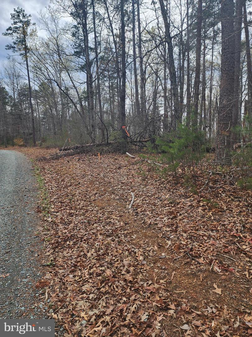 Lot 9 Paradise Ln Property Photo 4