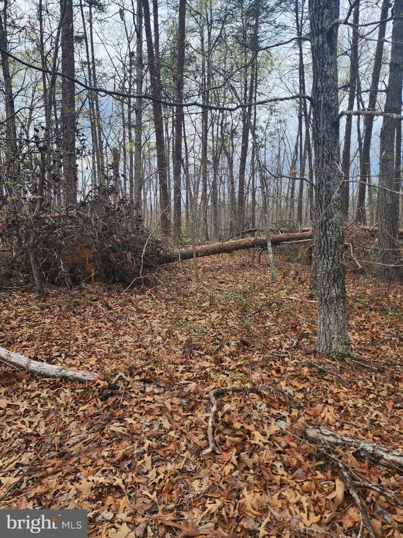 Lot 9 Paradise Ln Property Photo 5