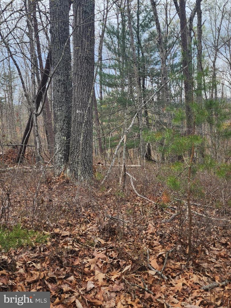 Lot 9 Paradise Ln Property Photo 6