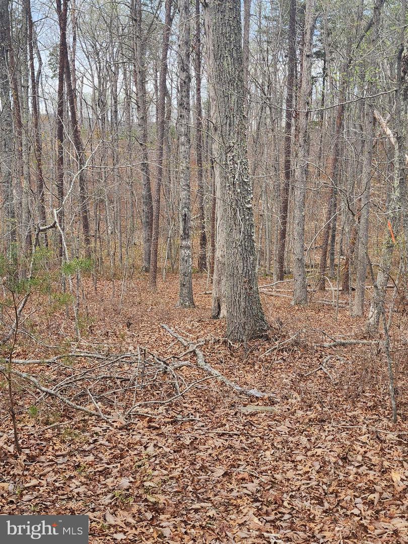 Lot 9 Paradise Ln Property Photo 7