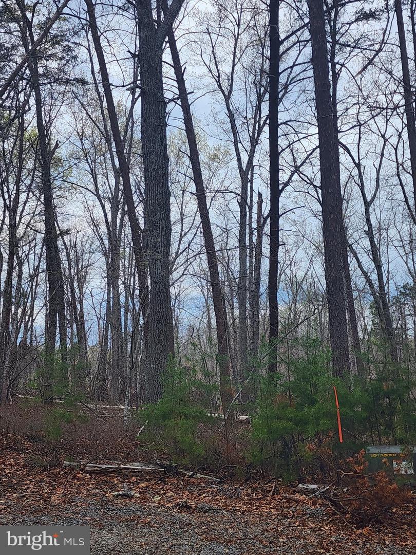 Lot 9 Paradise Ln Property Photo 8