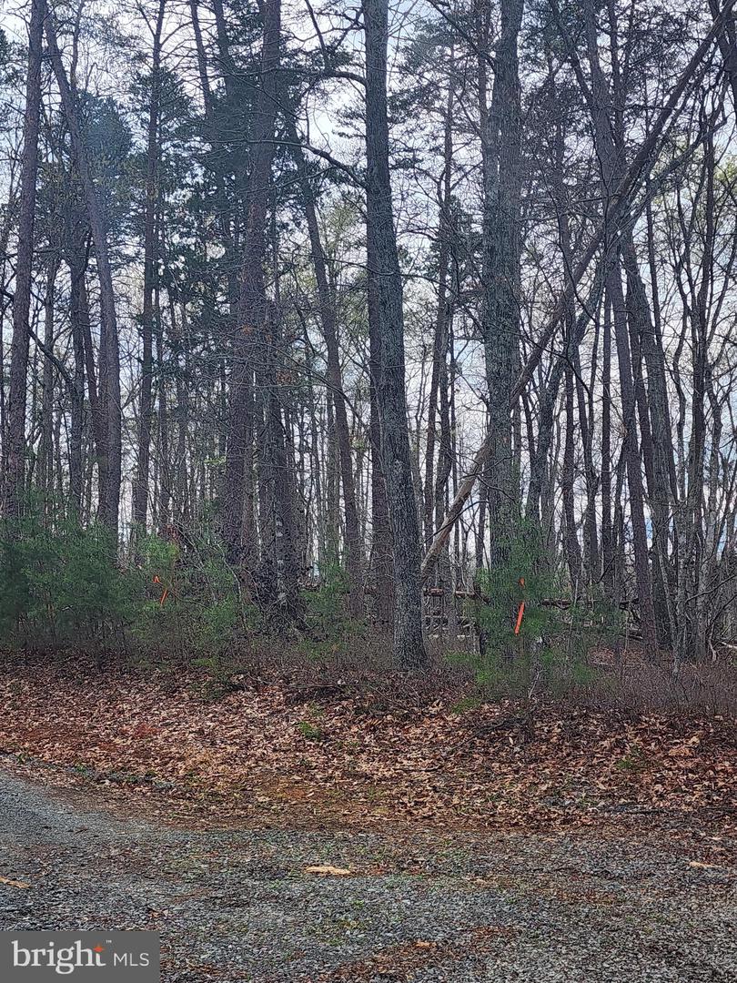 Lot 9 Paradise Ln Property Photo 9