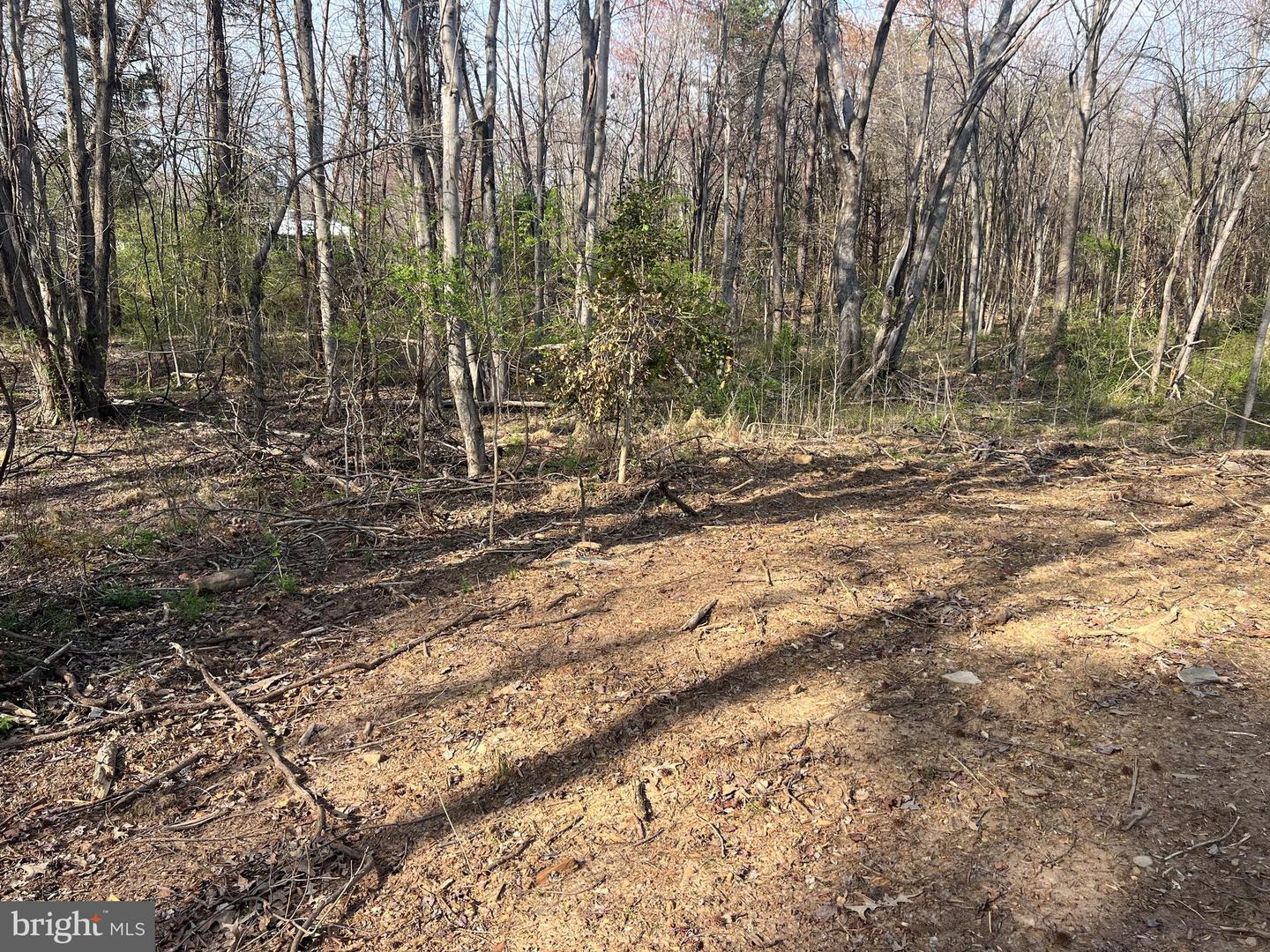 Lot 56 Historic Lane Property Photo 6