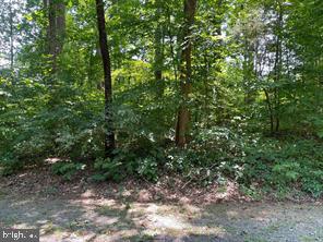 Lot 72 Madeline Lane Property Photo 1