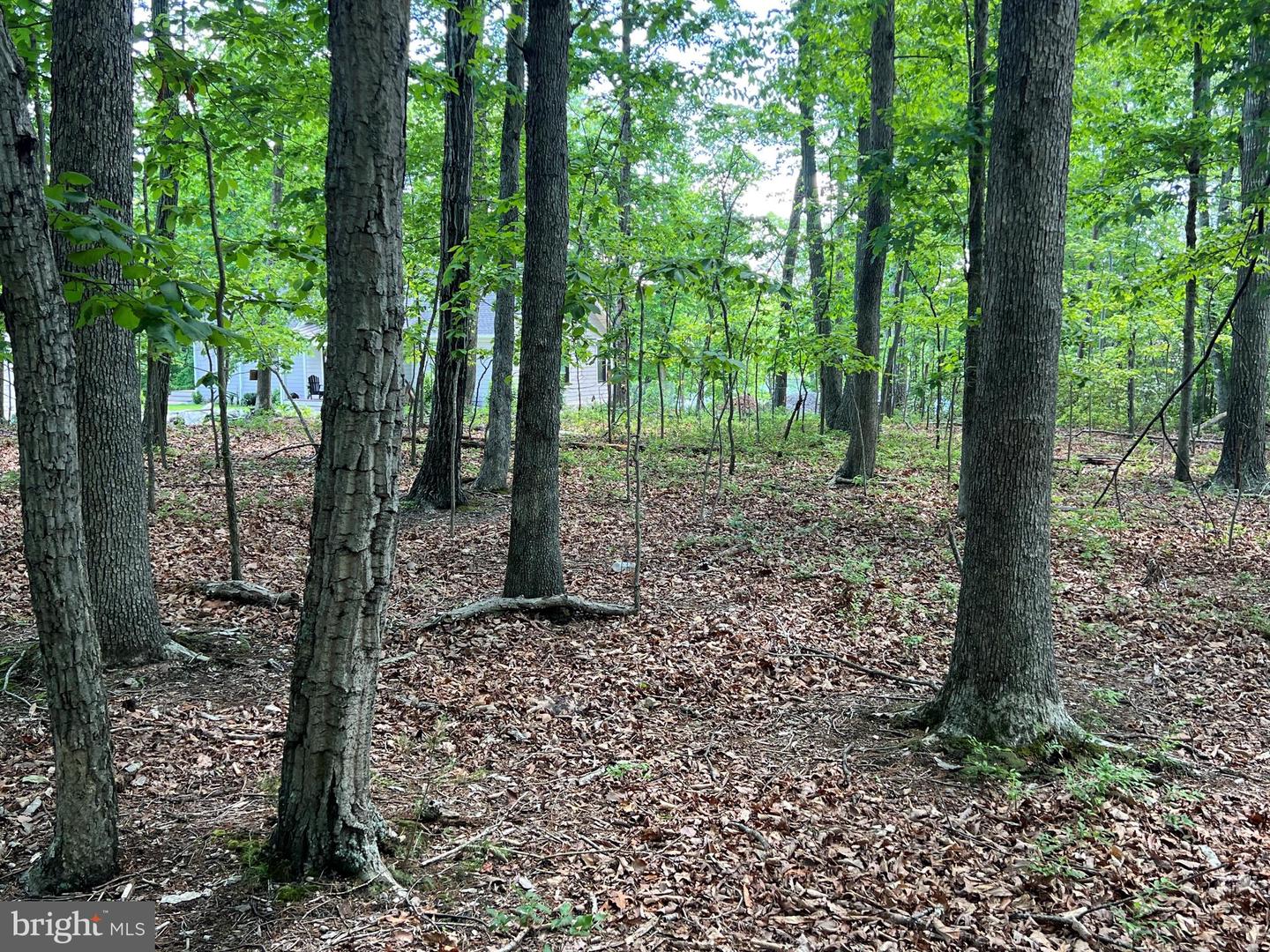 Lot 14 Mitchell Point Rd Property Photo 4