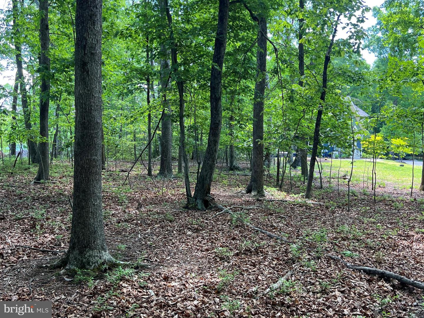 Lot 14 Mitchell Point Rd Property Photo 5