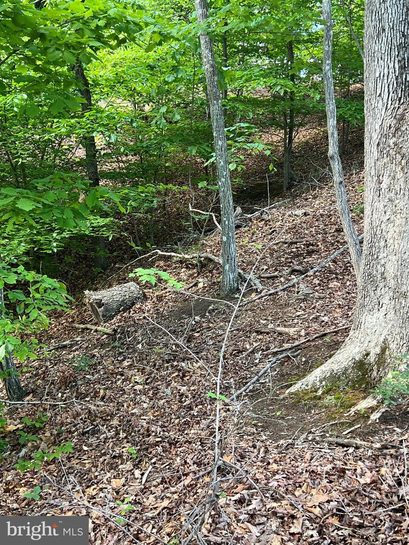 Lot 14 Mitchell Point Rd Property Photo 7