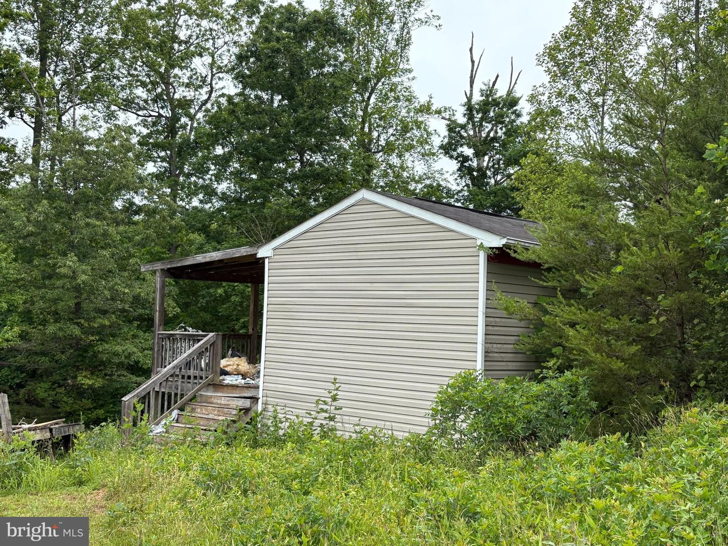 50 Elizabeth Property Photo 5
