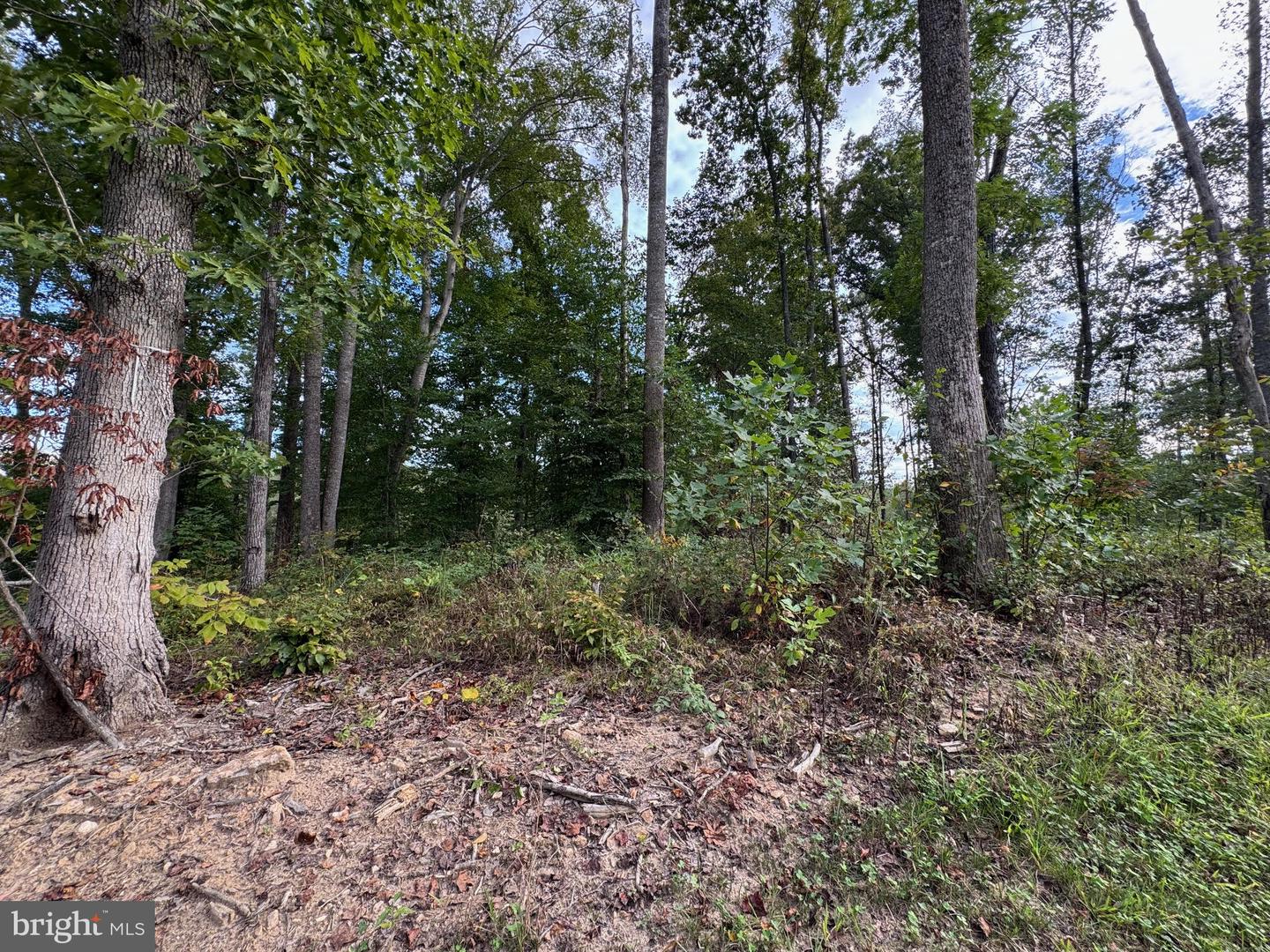 Lot 64 Compass Cove Property Photo 10
