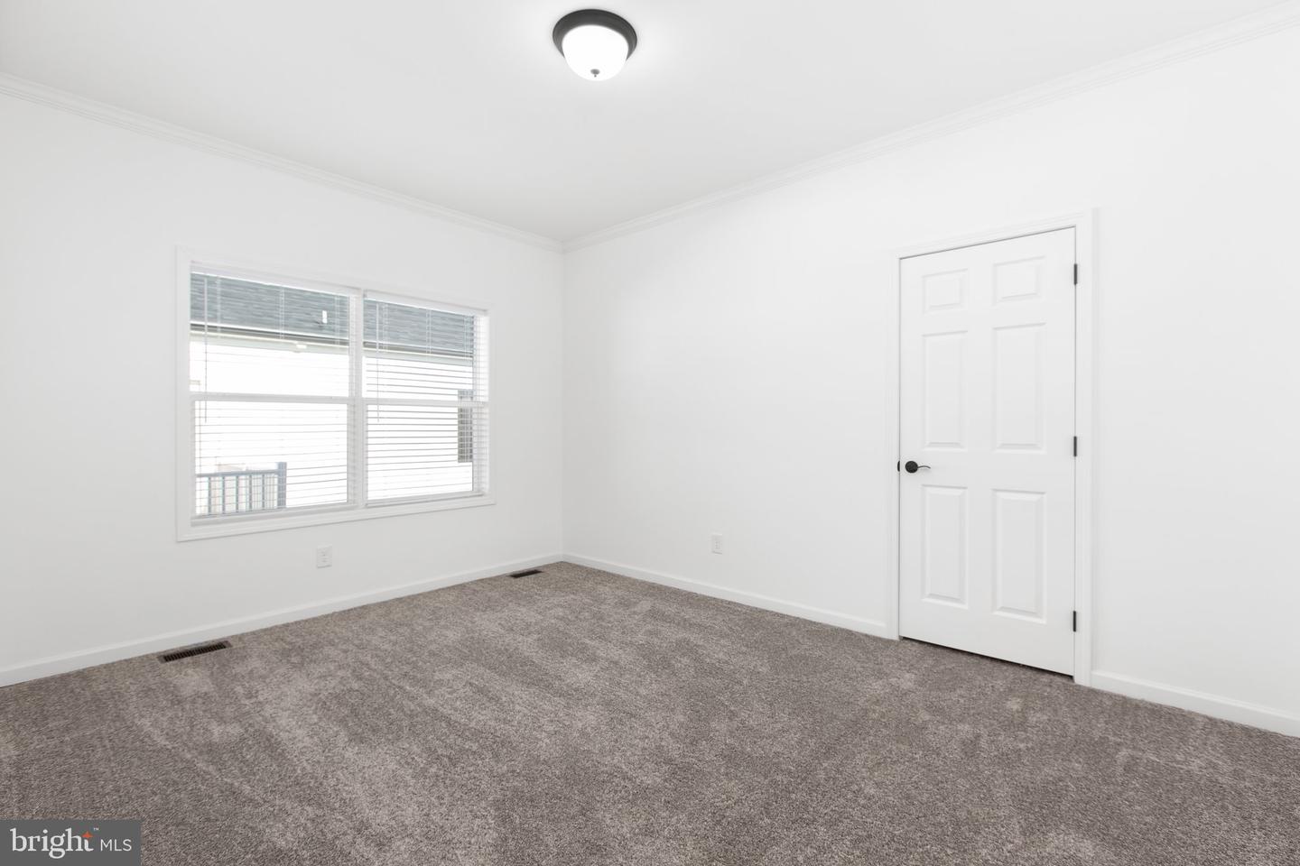 824 Mineral Ave Property Photo 28