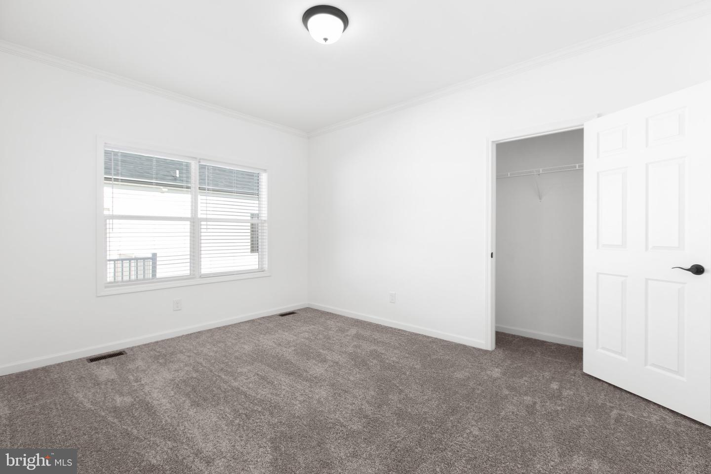 824 Mineral Ave Property Photo 29