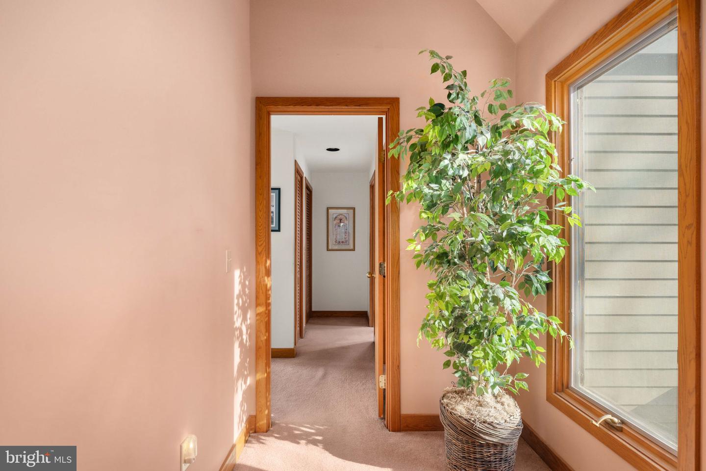 54 Tara Cir Property Photo 35