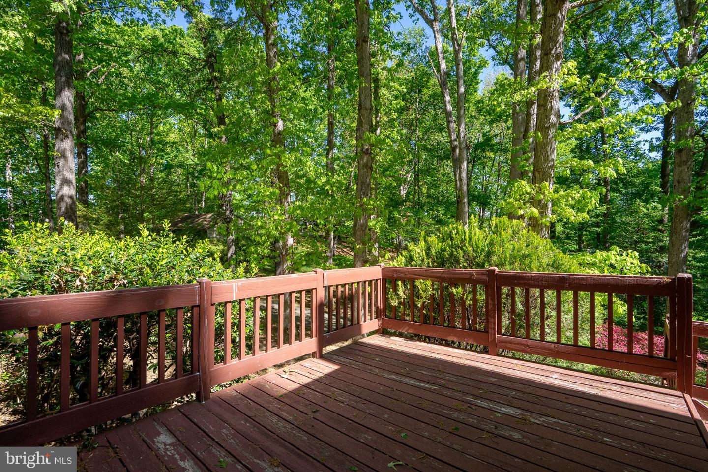 54 Tara Cir Property Photo 78