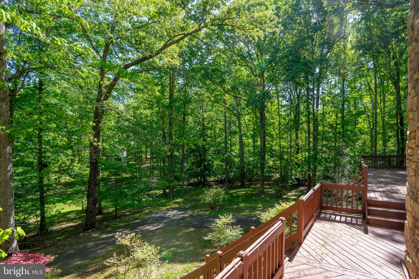 54 Tara Cir Property Photo 79
