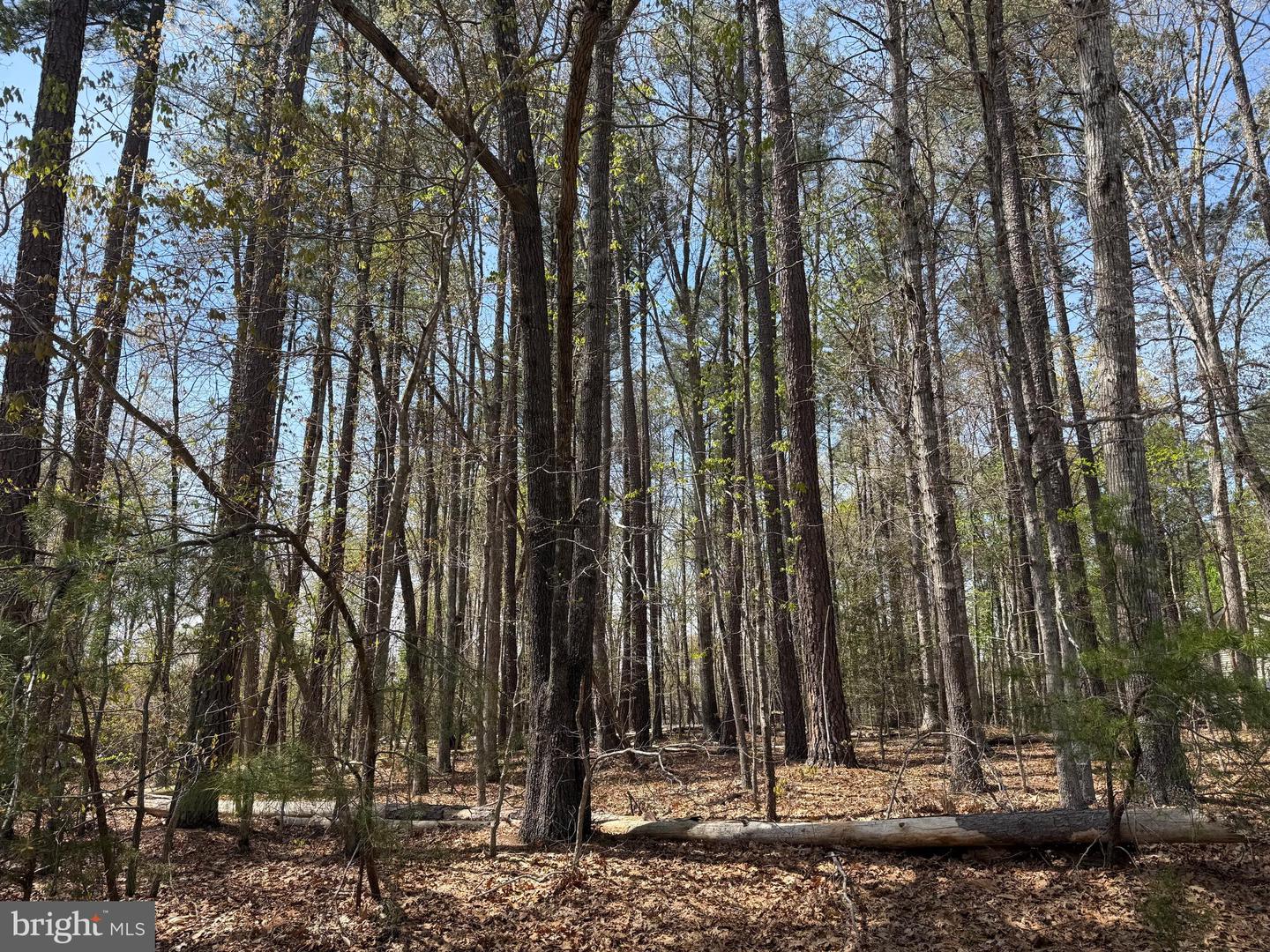 Windwood Coves Blvd Property Photo 1