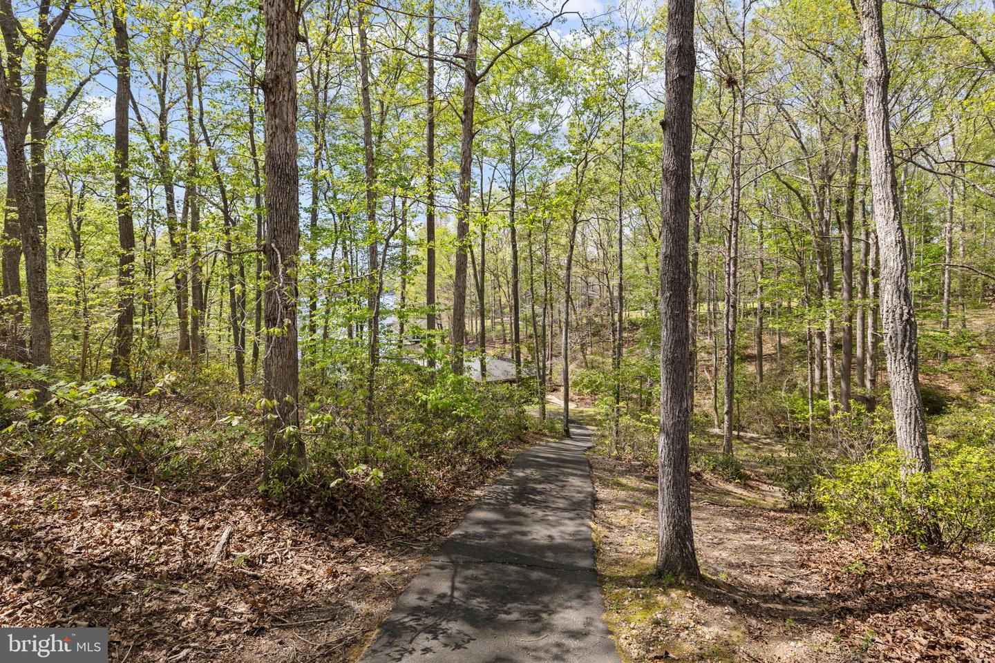 102 Tobys Run Property Photo 88