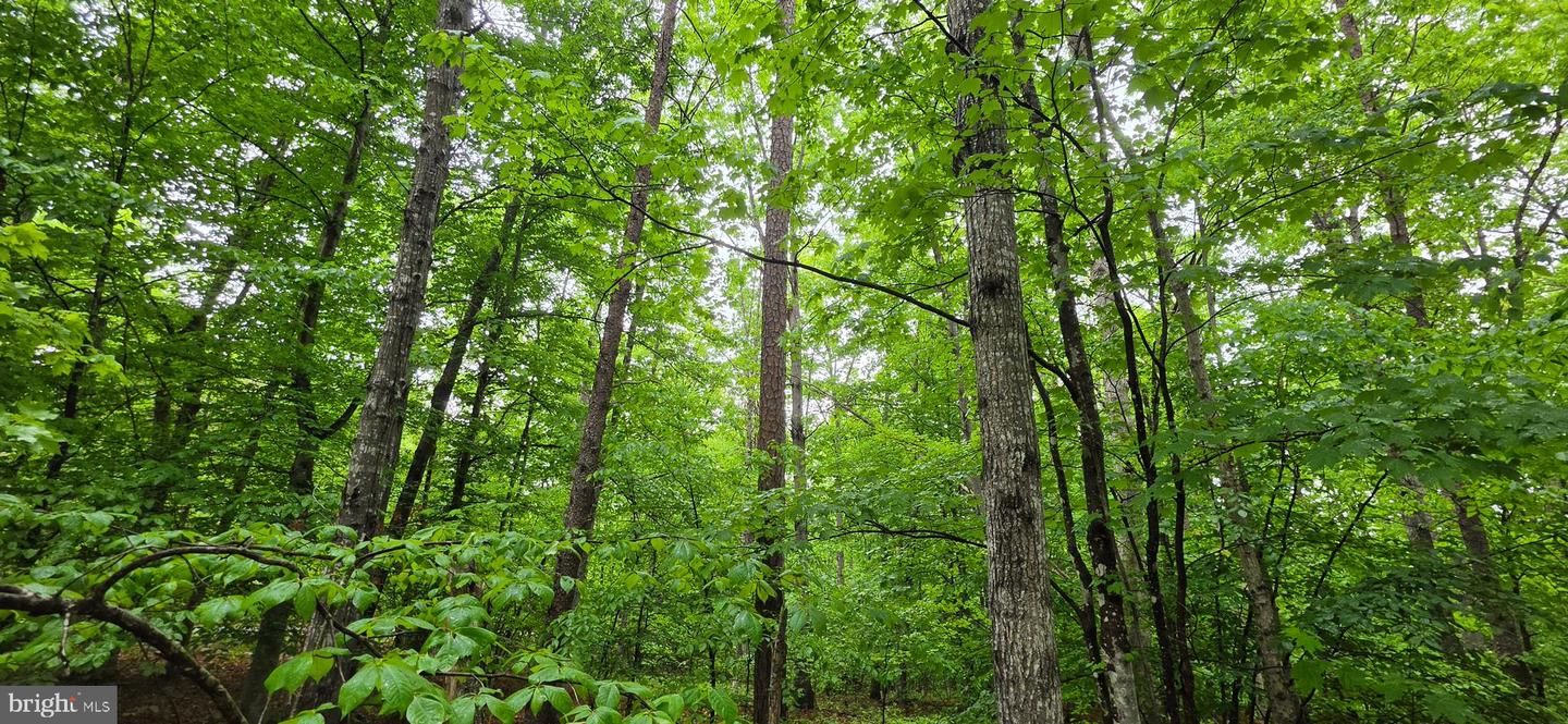 Lot 18 Glen Eagles Property Photo 3