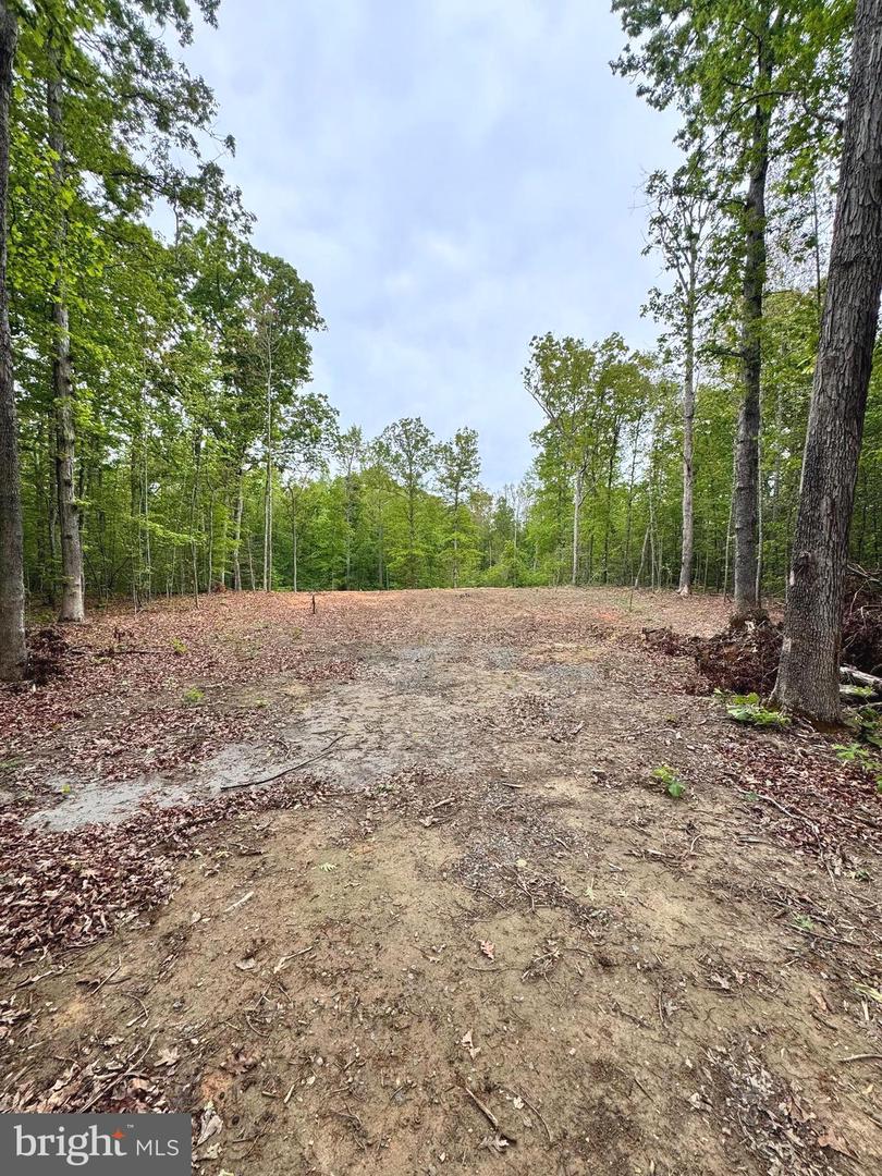 465 Equestrian Landing Trl Property Photo 3