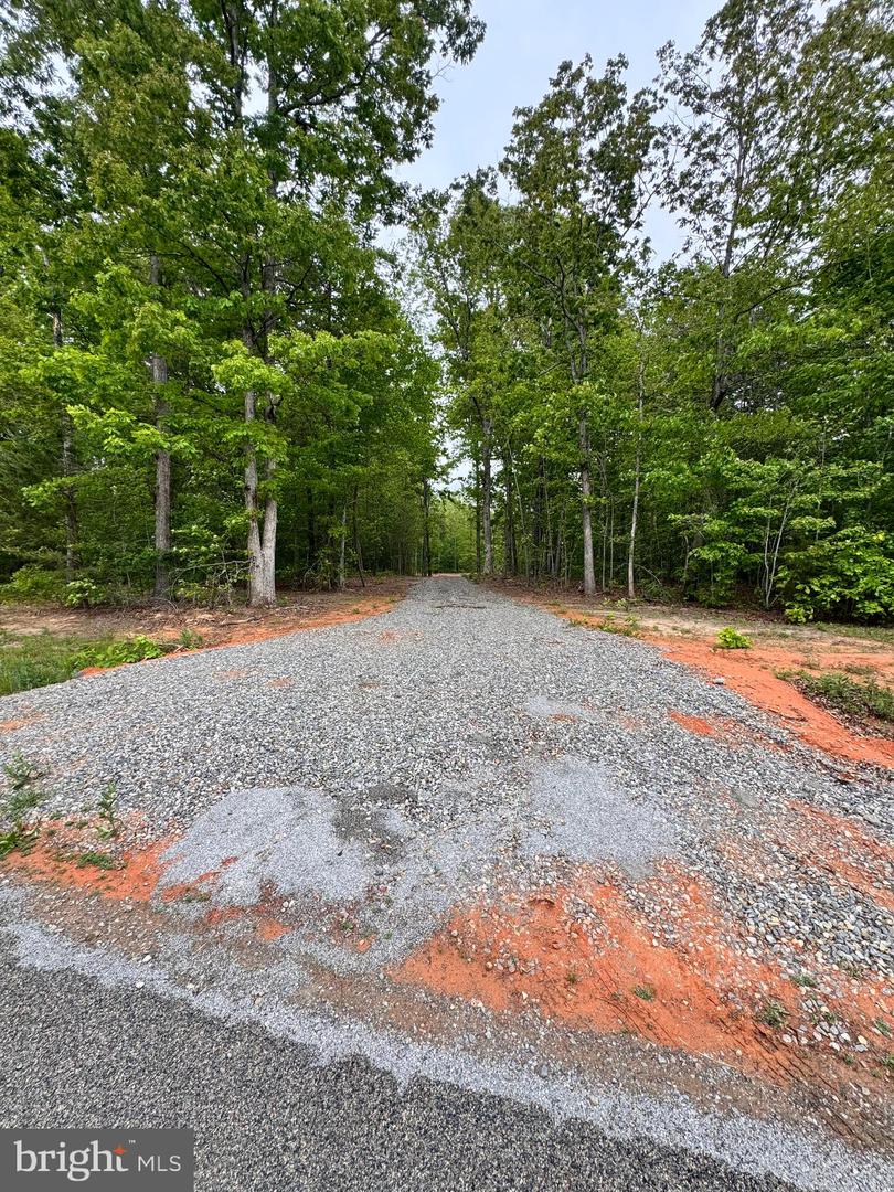 465 Equestrian Landing Trl Property Photo 4