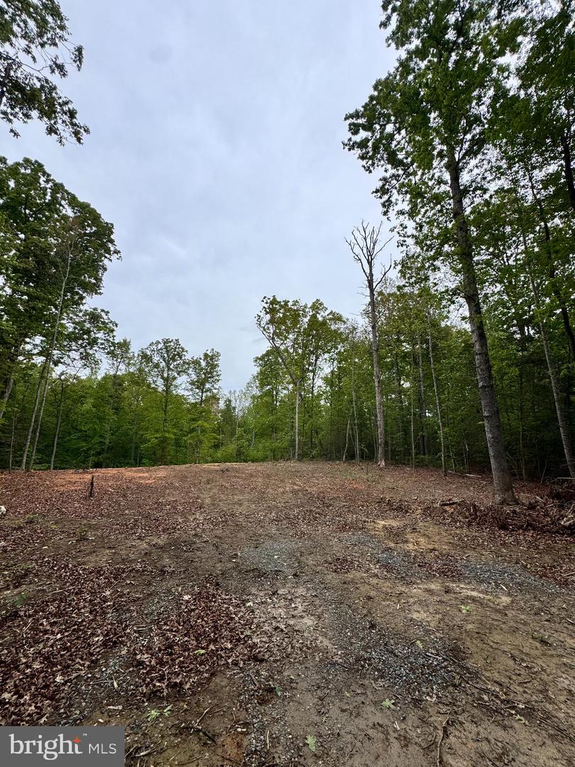465 Equestrian Landing Trl Property Photo 5