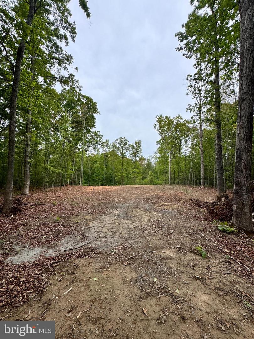 465 Equestrian Landing Trl Property Photo 6