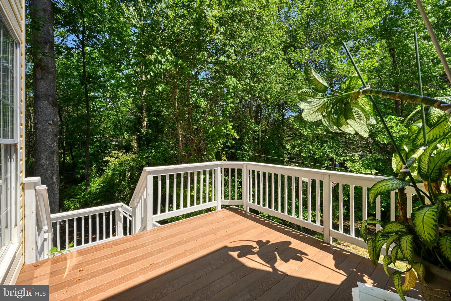 121 Brounaugh Ln Property Photo 17