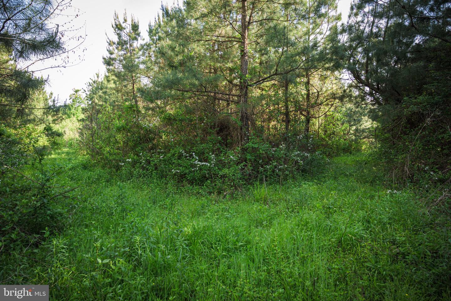 0 Harts Mill Rd Property Photo 32