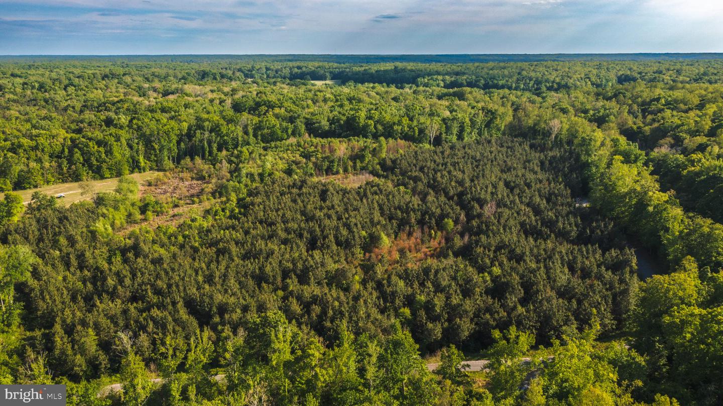 0 Harts Mill Rd Property Photo 41