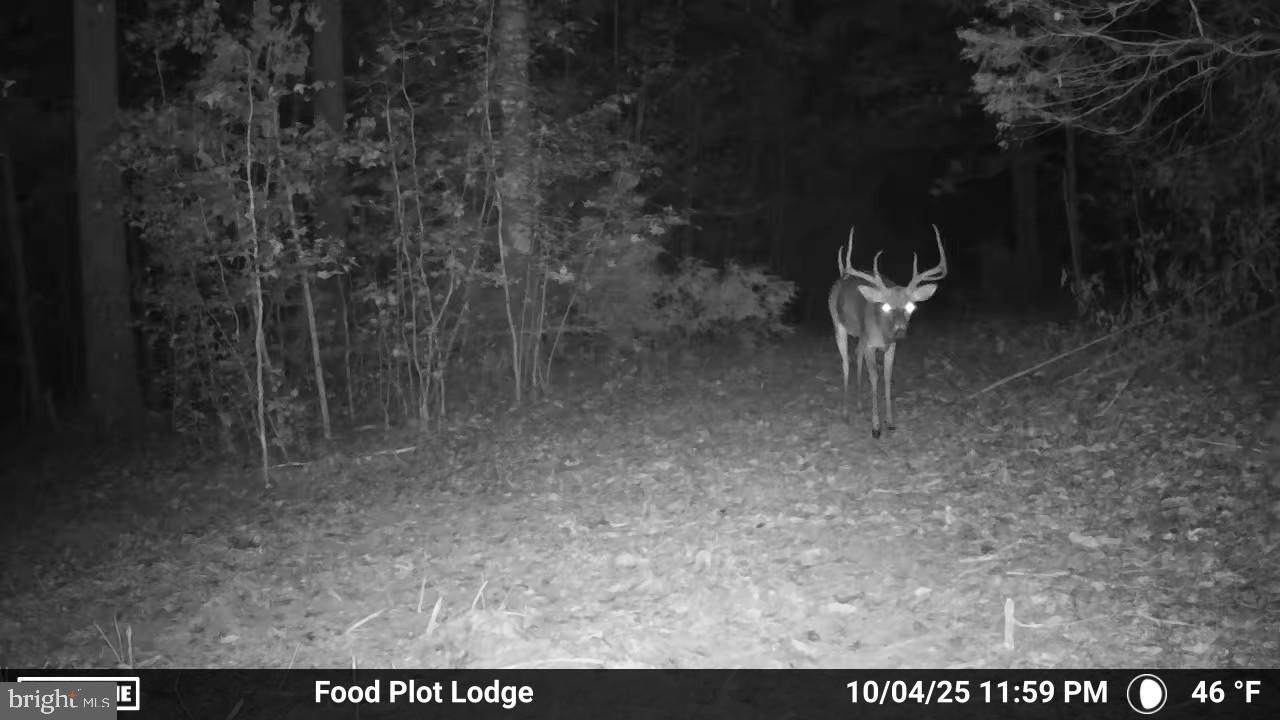 0 Harts Mill Rd Property Photo 48