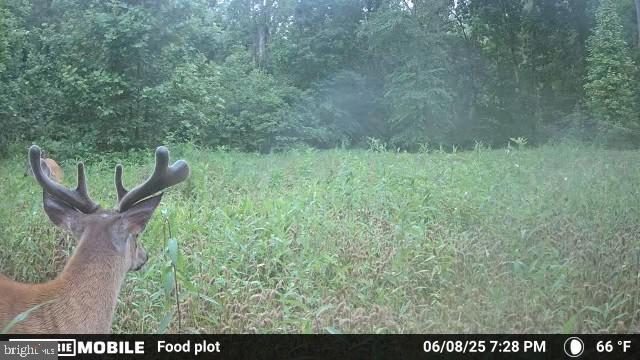 0 Harts Mill Rd Property Photo 54