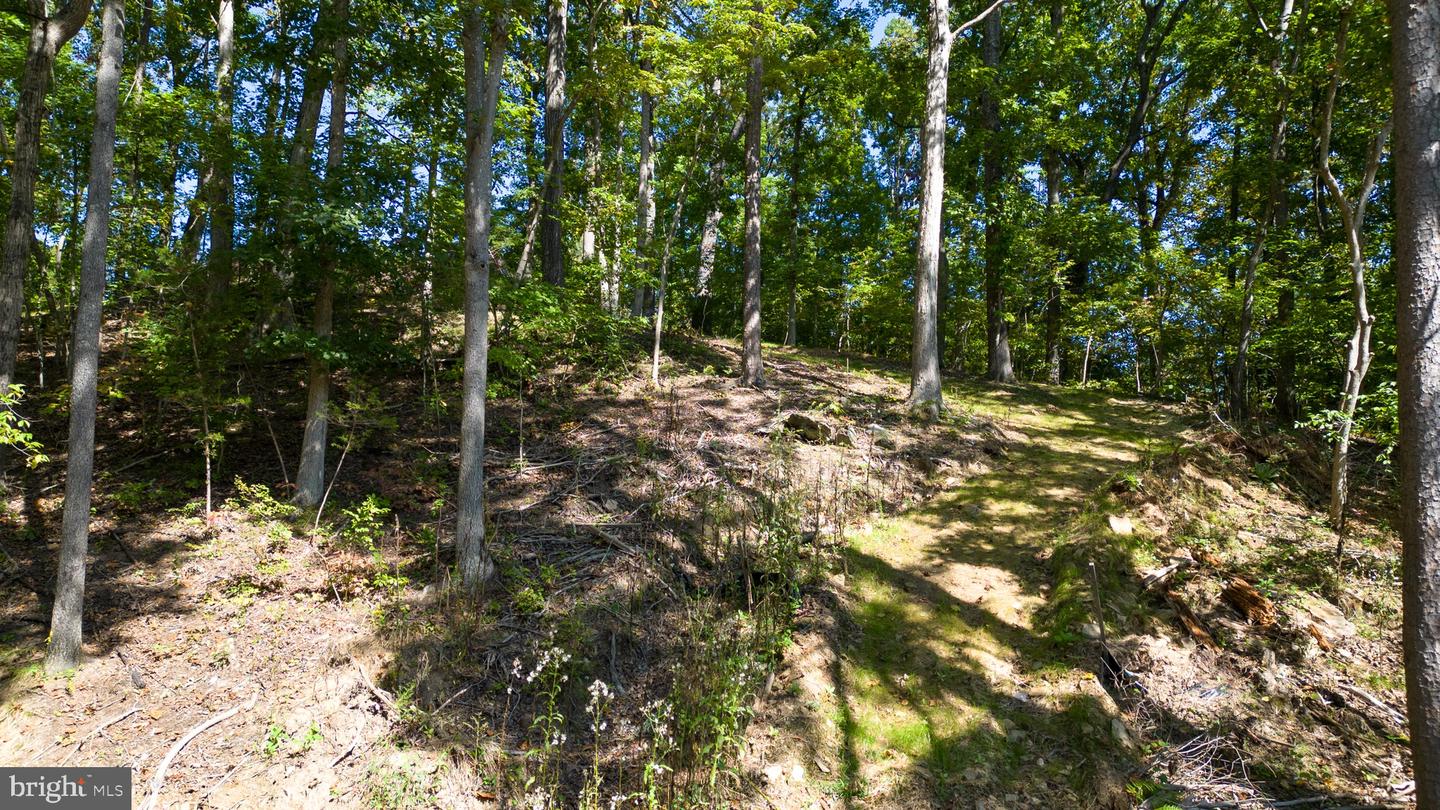 1242 N Lakeshore Dr Property Photo 13