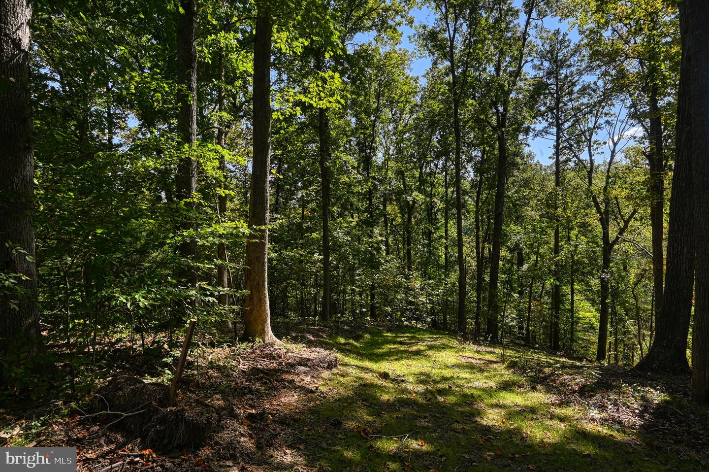 1242 N Lakeshore Dr Property Photo 46