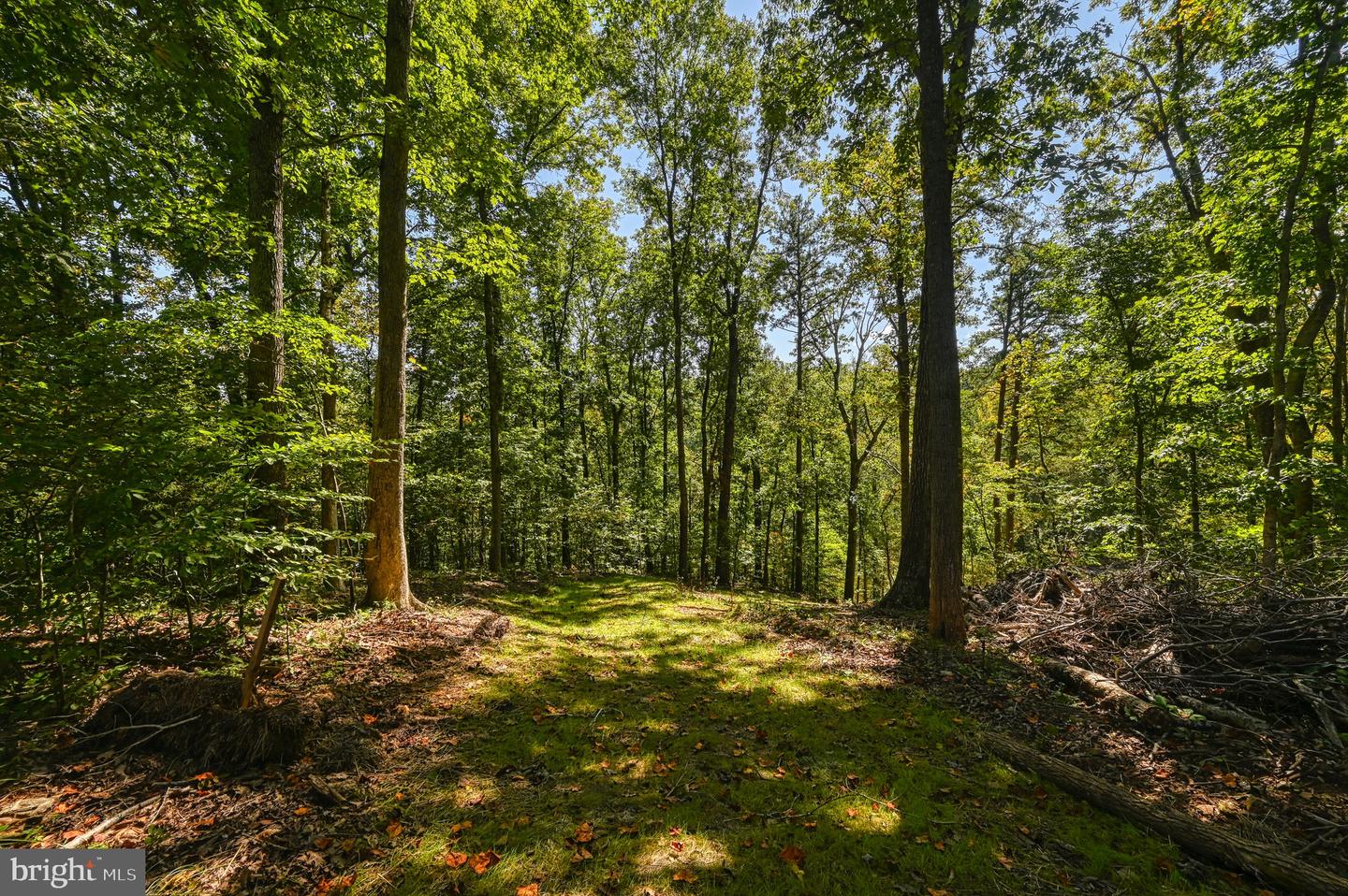 1242 N Lakeshore Dr Property Photo 53