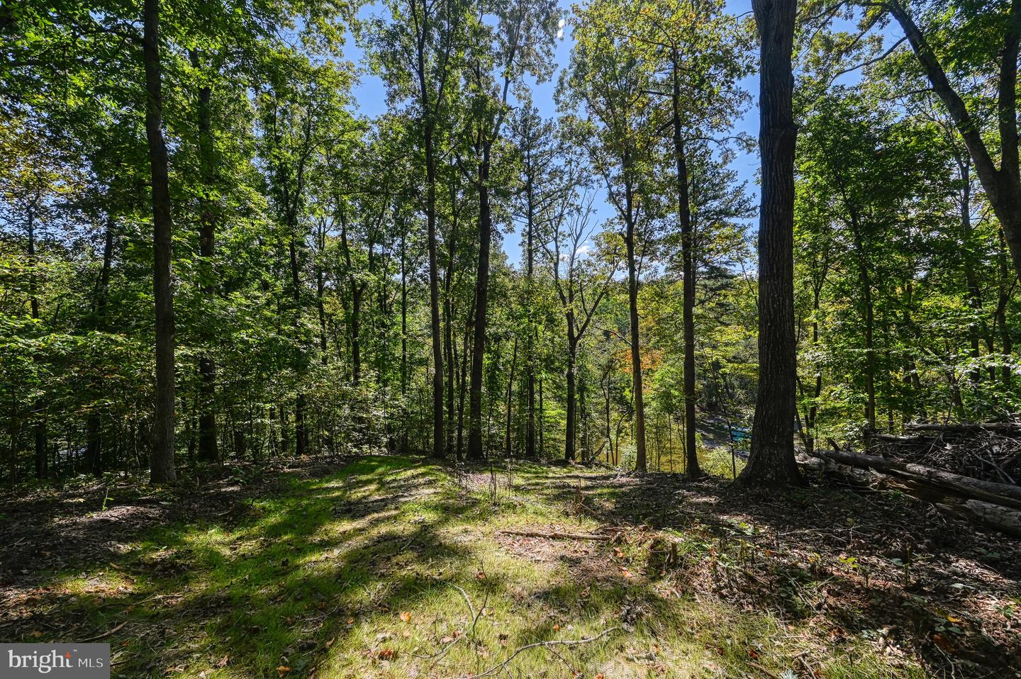 1242 N Lakeshore Dr Property Photo 54
